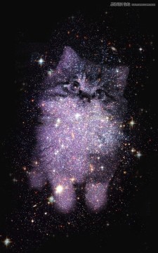 Photoshop合成创意的星空装饰的猫咪图片