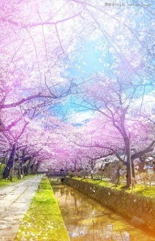 Photoshop调出唯美仙境效果的公园樱花照片