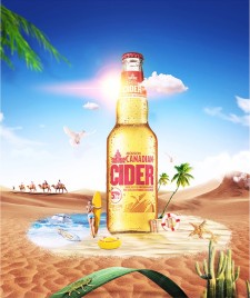 打造夏日带给你极度清爽啤酒海报