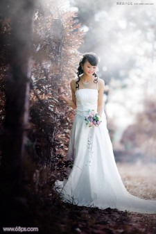Photoshop调色调出冷色逆光效果图的外景婚纱照片