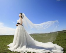 PS钢笔结合通道抠图抠出草原上透明的婚纱照片