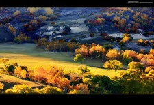 Photoshop调出唯美秋季金黄色调的外景照片