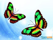 PS教你绘制美丽的蝴蝶
