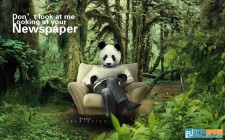 在密林中用PS合成看报的熊猫人