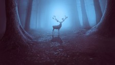 Photoshop合成在迷雾森林中梅花鹿唯美的蓝色主题场景