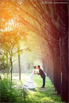 Photoshop调出绚丽阳光色的森林婚纱照片
