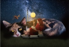 PS合成星光闪耀夜空下看书的女生图片的奇幻效果